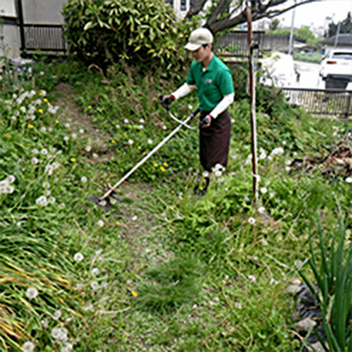 草とり・除草
