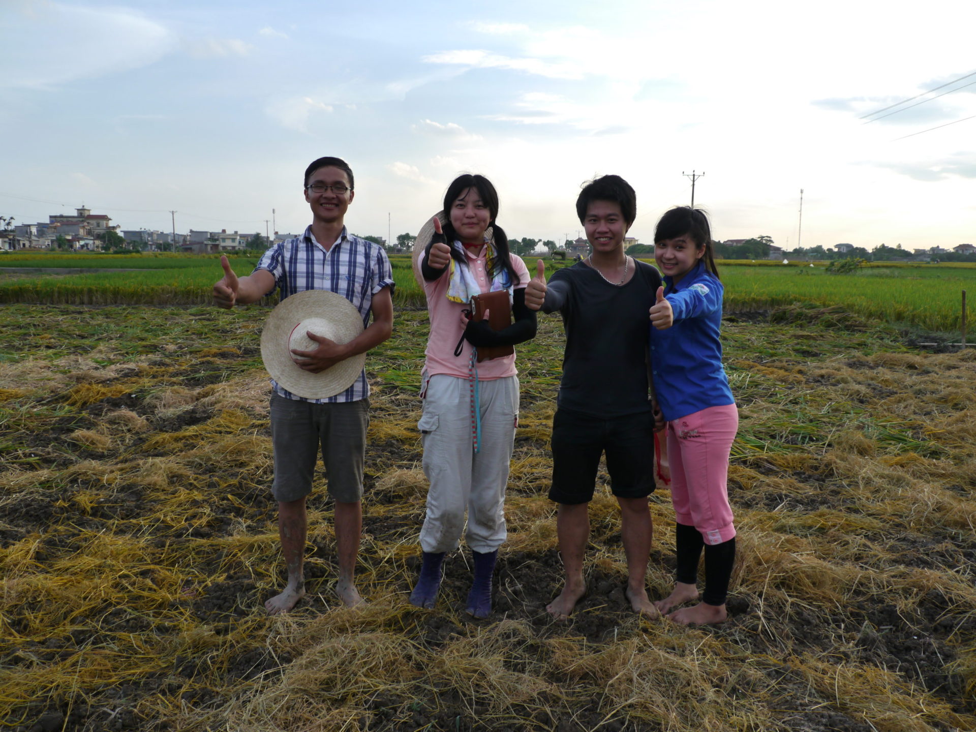 有機野菜を栽培する場所で土地の改良を行いました