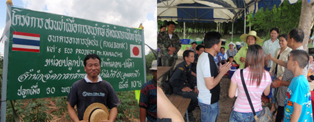 果樹のなる木を植えました