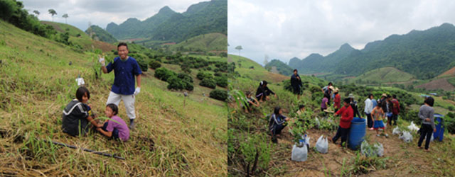 土砂崩れを防ぐための植樹
